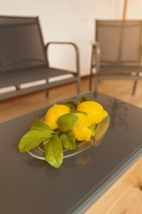 whatsapp image 2026 01 04 at 21.26.23